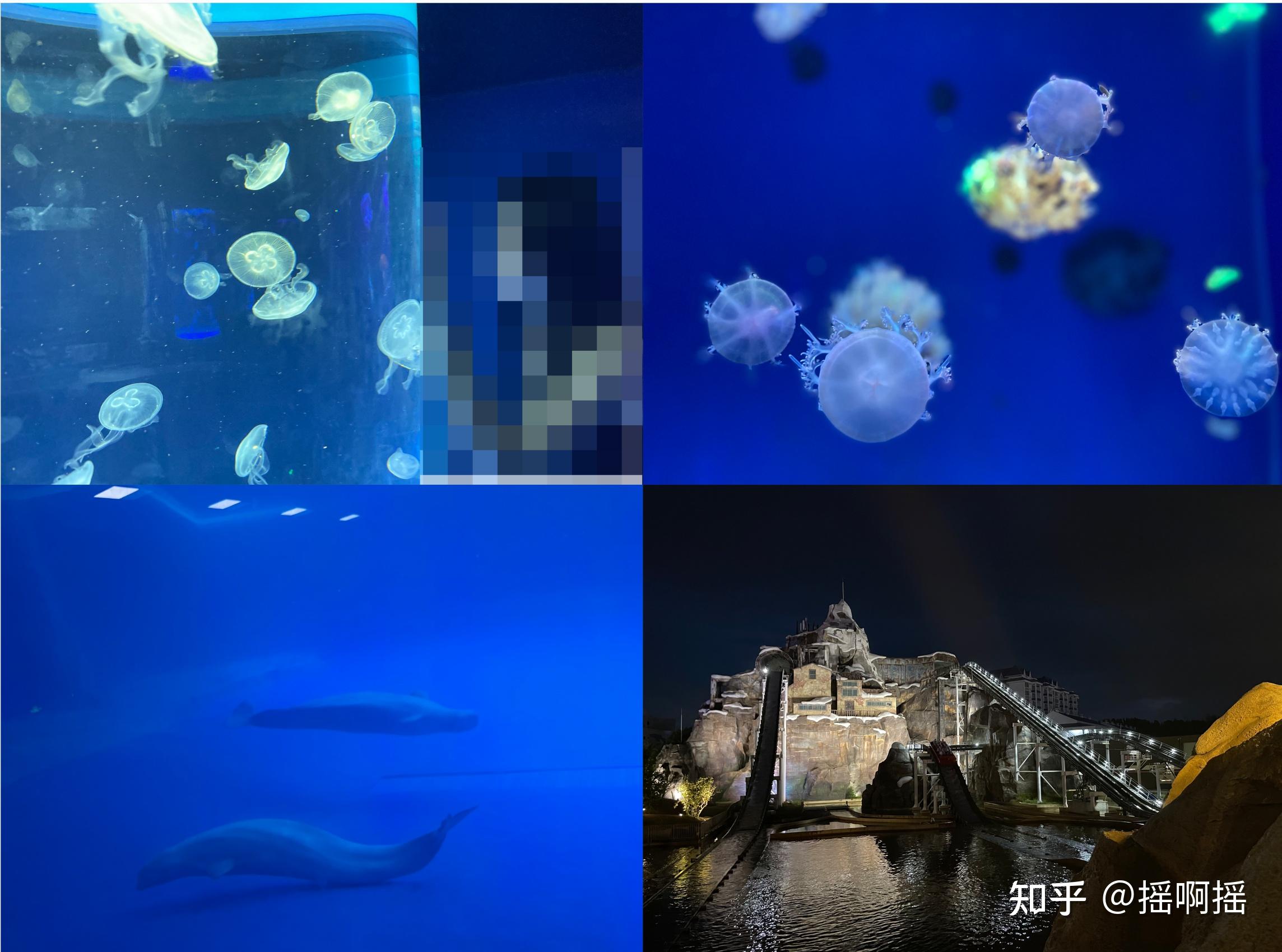 海南旅游攻略——陵水篇(非自驾,最强劝退) - 知乎