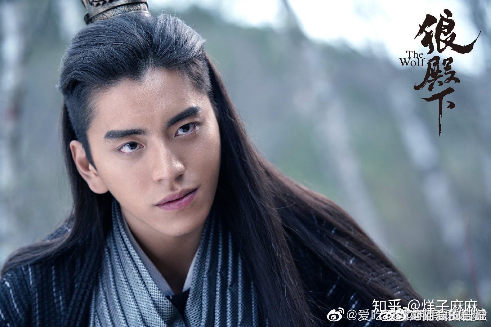 如何评价王大陆在电视剧狼殿下中的表现