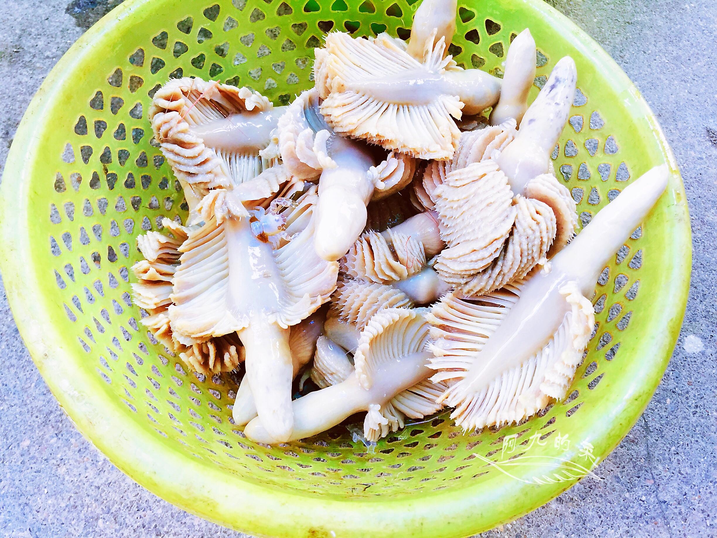 下面我把这个美味的炒狗螺花做法分享给你们,如果有幸见到这个小海