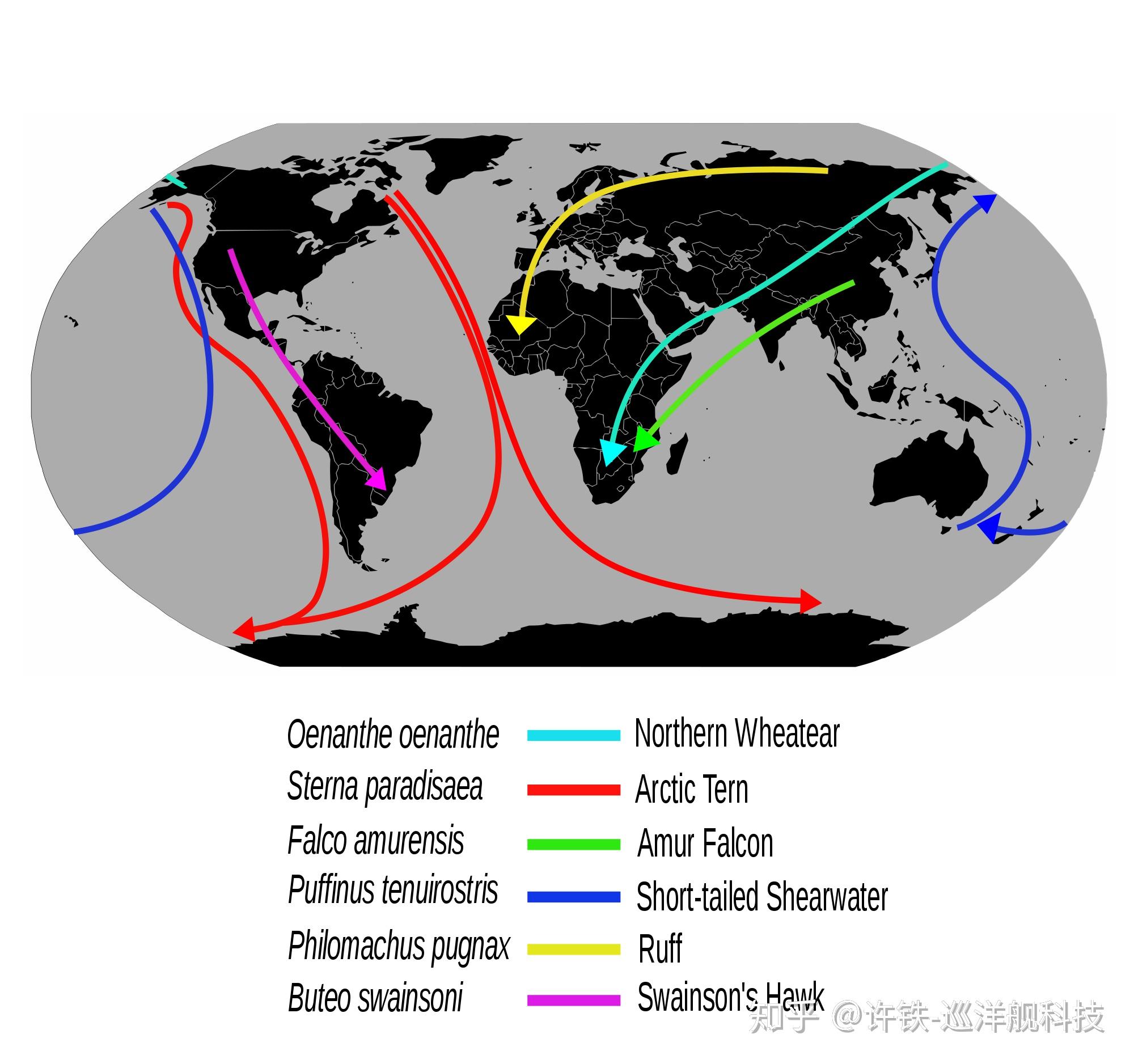 空間簡史人類認識空間的探險和對ai之啟發