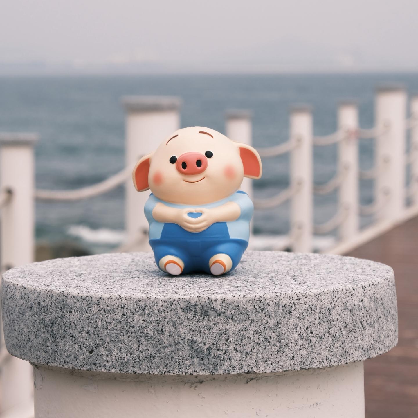 杨梅好了