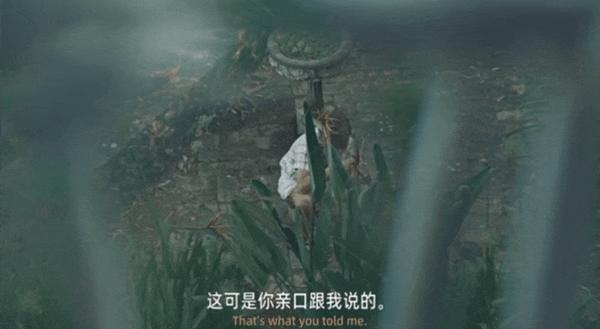 高分悬疑三部曲，迎来最终章