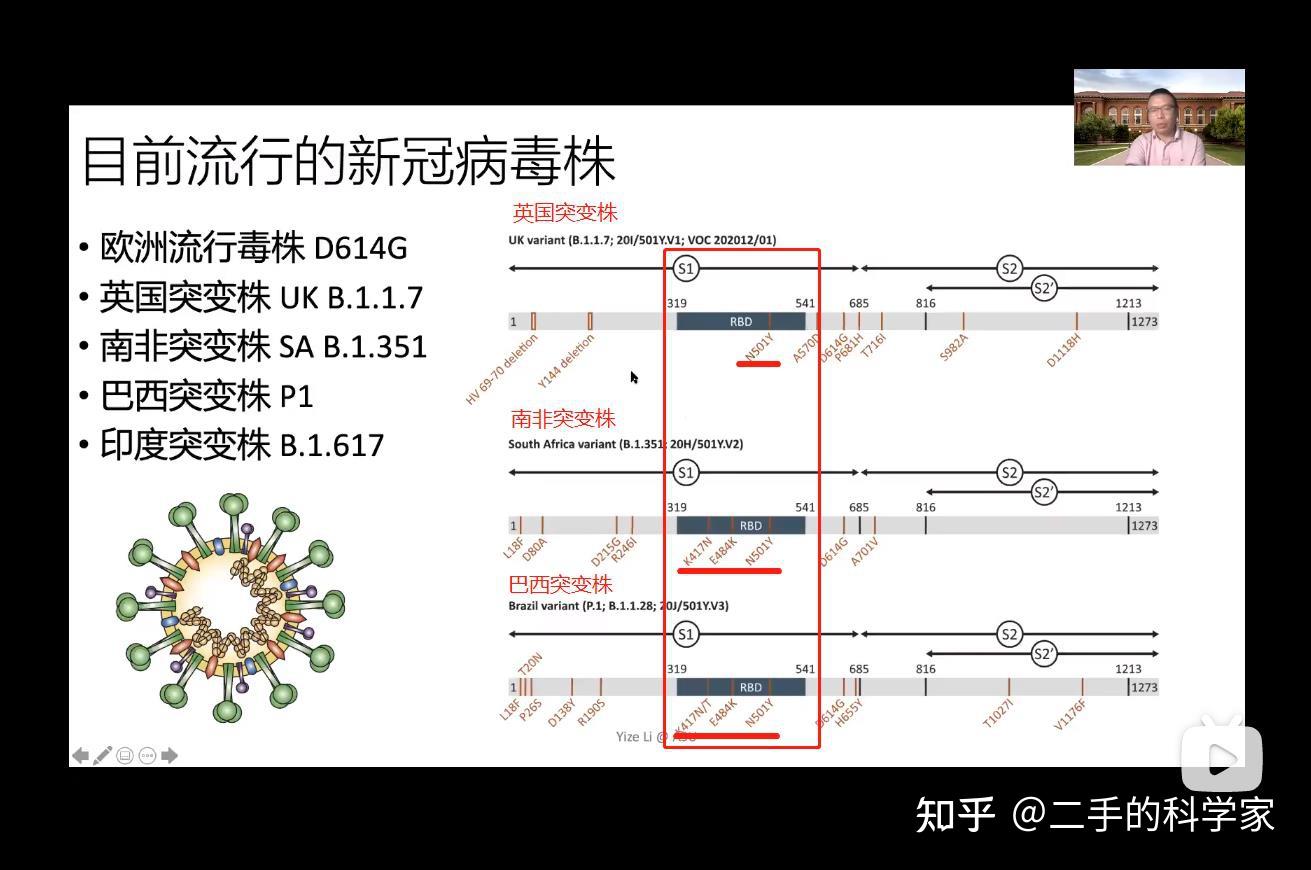 德尔塔毒株和新冠病毒一样吗_新冠病毒德尔塔毒株_新型冠状病毒德尔塔毒株