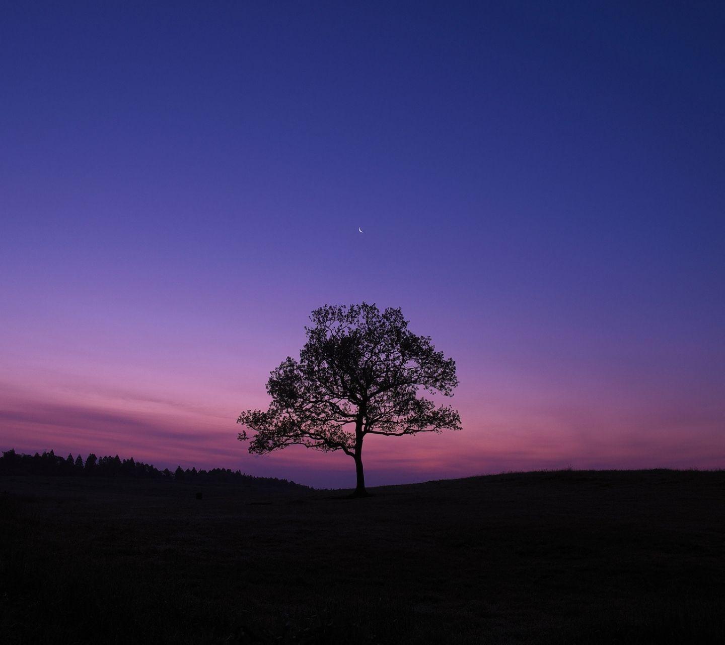求一些简约又有个性的横屏壁纸? - 知乎