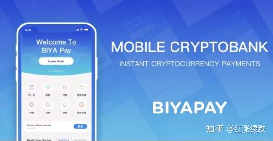 BIYAPAY biyapay