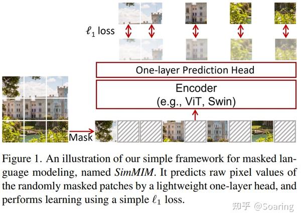 论文笔记(六) Vision Transformer & Masked Autoencoder 知乎