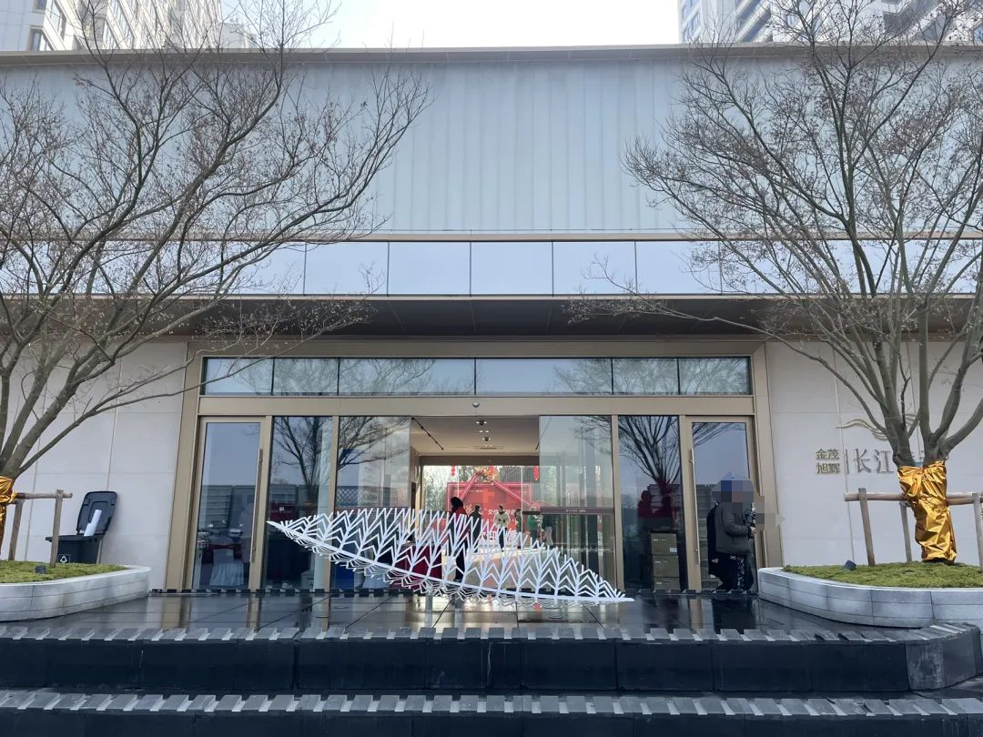 曾被2000多人抢!南京神盘正在交付!刚刚我拍下最新实景 - 知乎