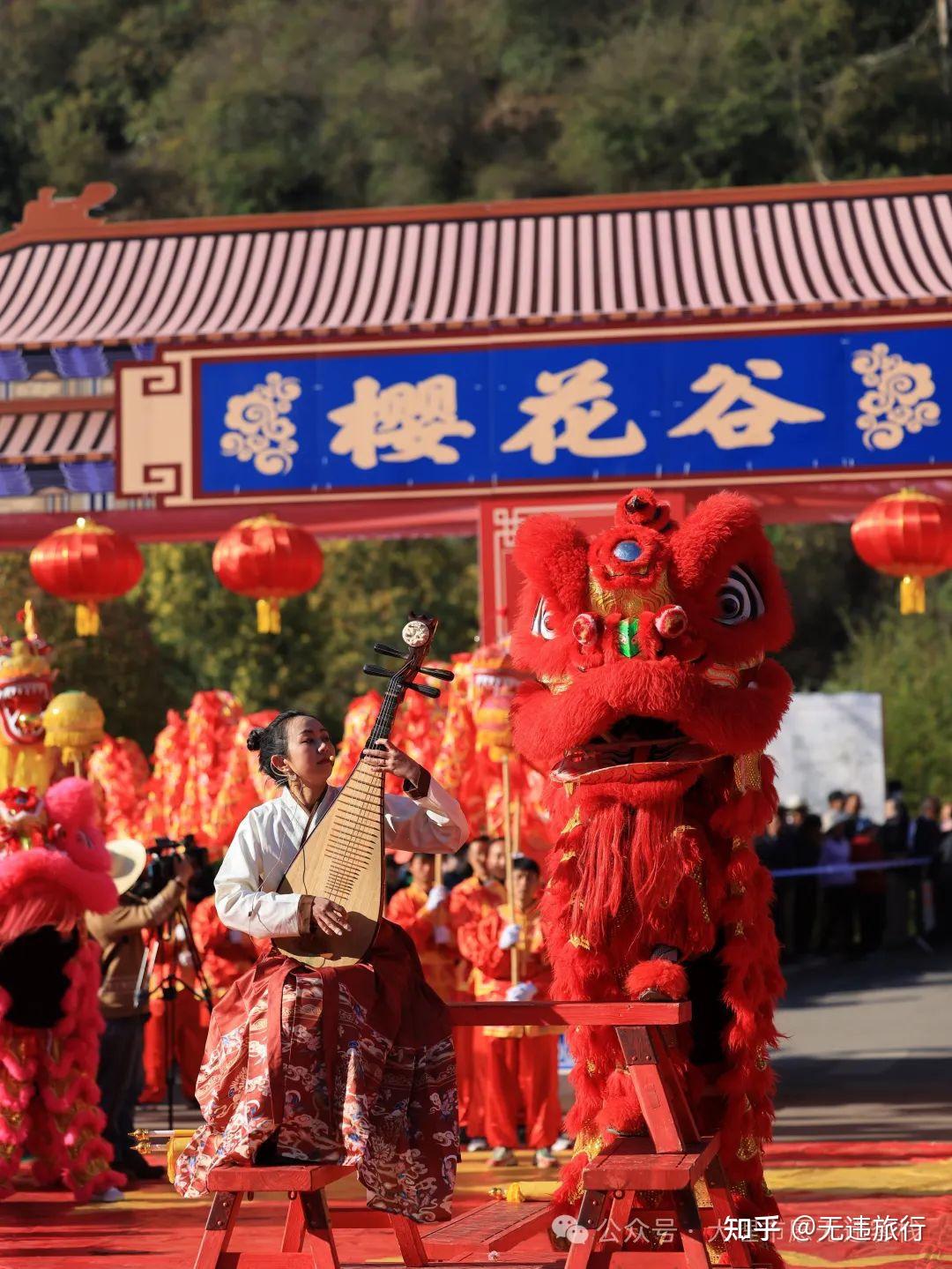 2024年马龙樱花节有爱必达赏花正当时附详细攻略