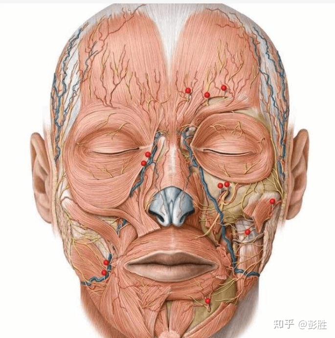 面肌痉挛疾病的诊治要点有哪些