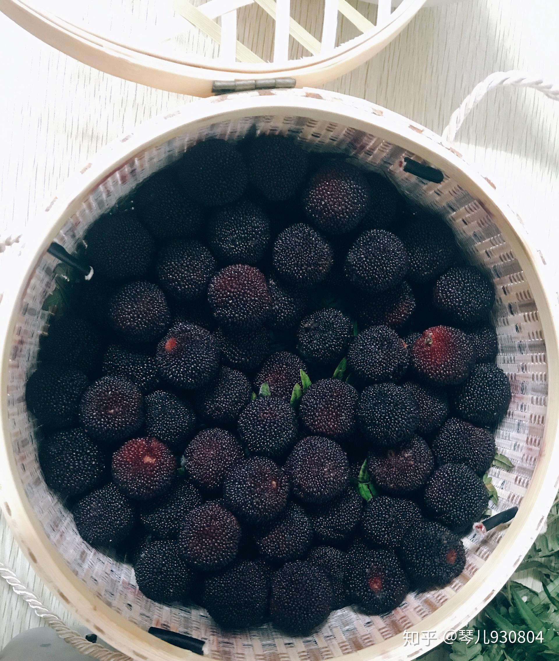 浙江台州仙居荸荠种杨梅