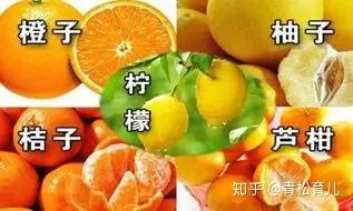 v2-8c2f65b649c4da2eb11a4e95592a8833_b.jpg