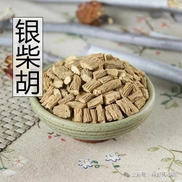 中药材:银柴胡 - 知乎