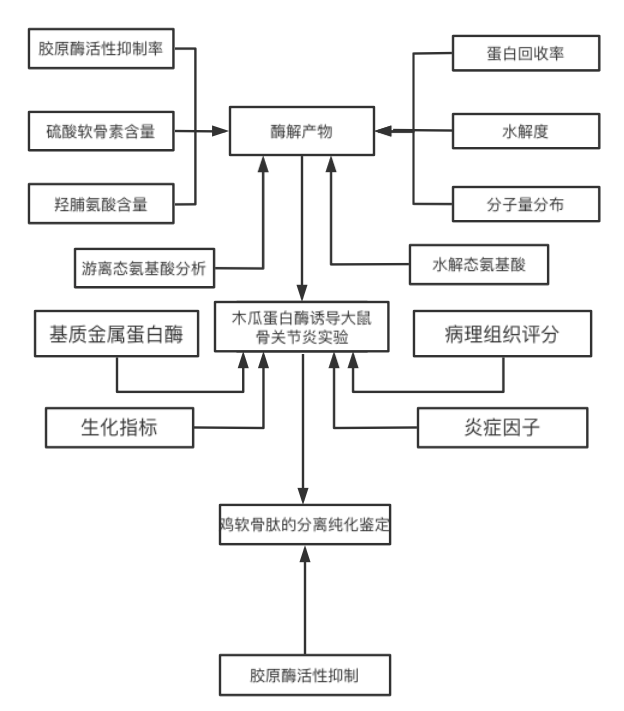 学术论文中的那些框架图是怎么画的