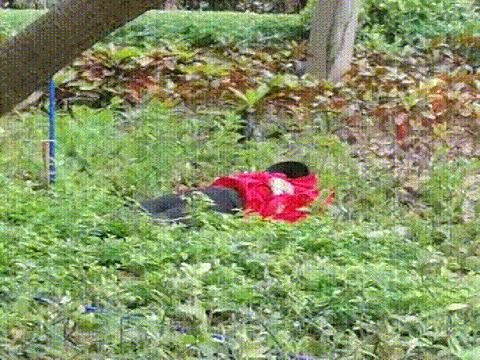 海南红衣女子坠楼事件图片