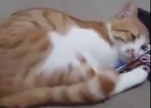 v2-8c5684b2da5b5e5be2c334f862857756_1440w.jpg