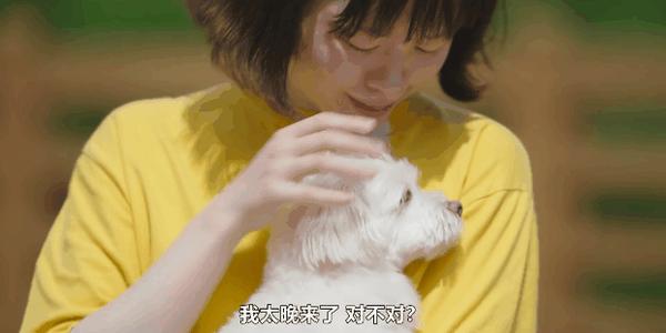 《比天堂还美丽》高能剧情神设定,又一部年度爆款