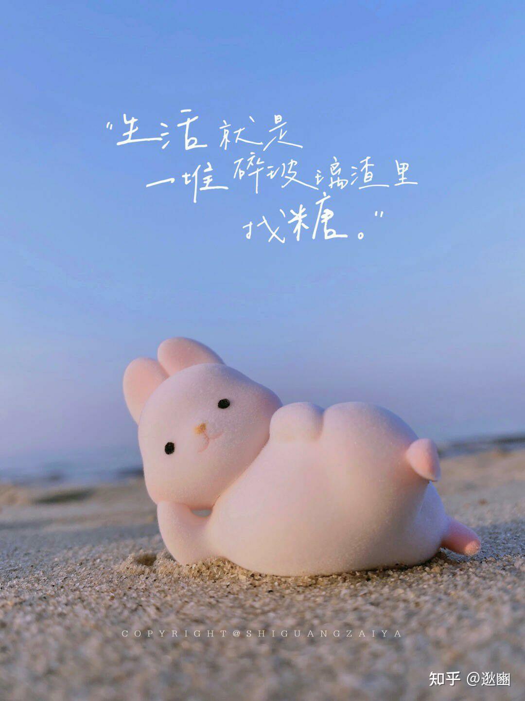 知乎