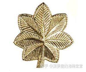 为什么美军军衔标志中银色等级高于金色? - 知乎