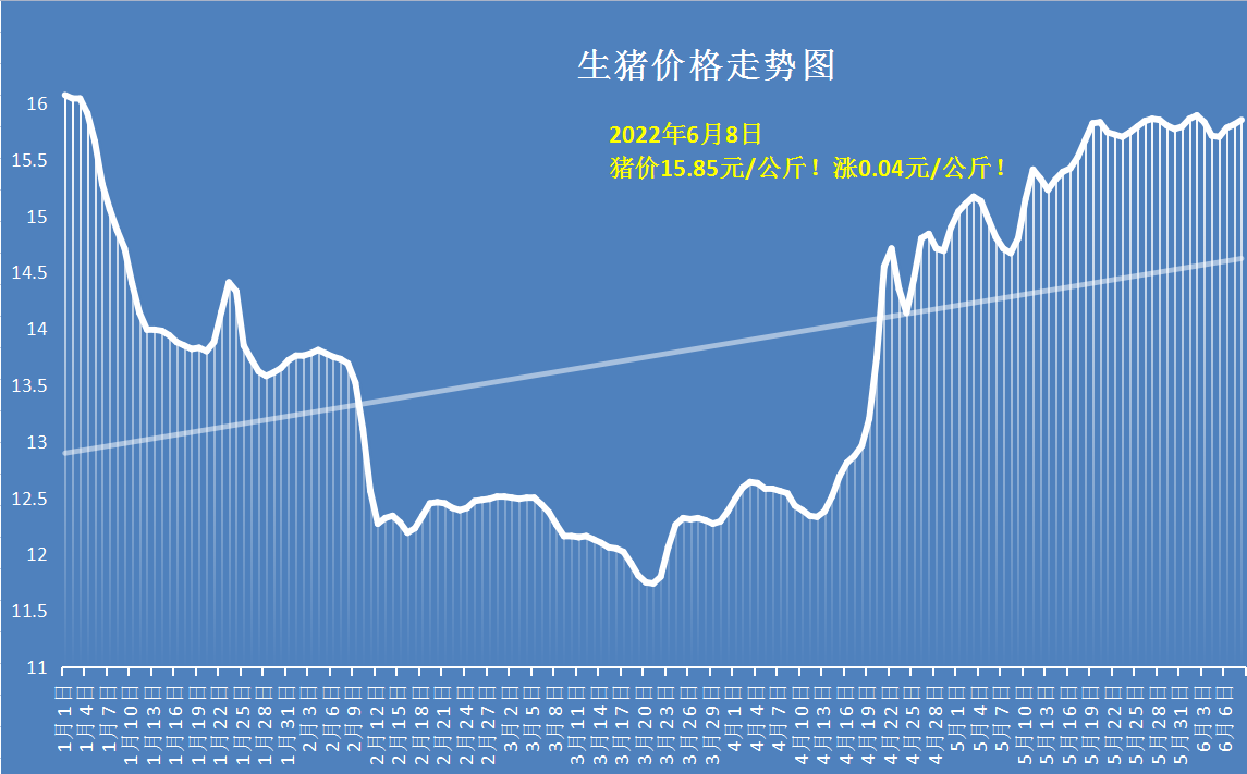 3連漲豬價波動偏強供銷博弈拼刺刀豬價能否飛天