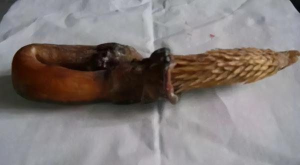 老虎中的"带孝子":赢得家族内斗的老虎才能更出名,不是吗?