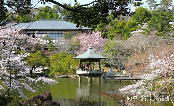 千葉記 1 初詣圣地 成田山新胜寺最详游记 知乎