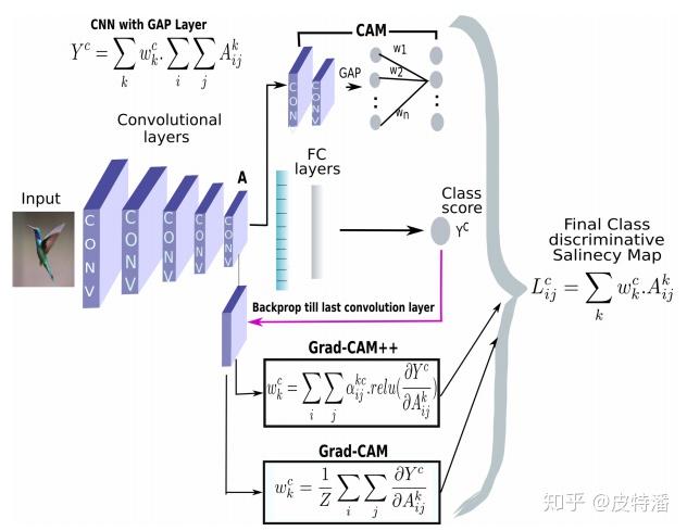Camstat Graphics 万字长文:特征可视化技术(CAM) - 知乎