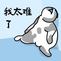 抖音帐号被封了咋办？一千万千万别乱索偿！(图6)