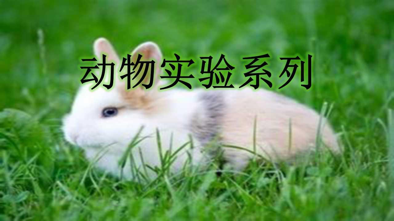 cums抑郁症动物模型
