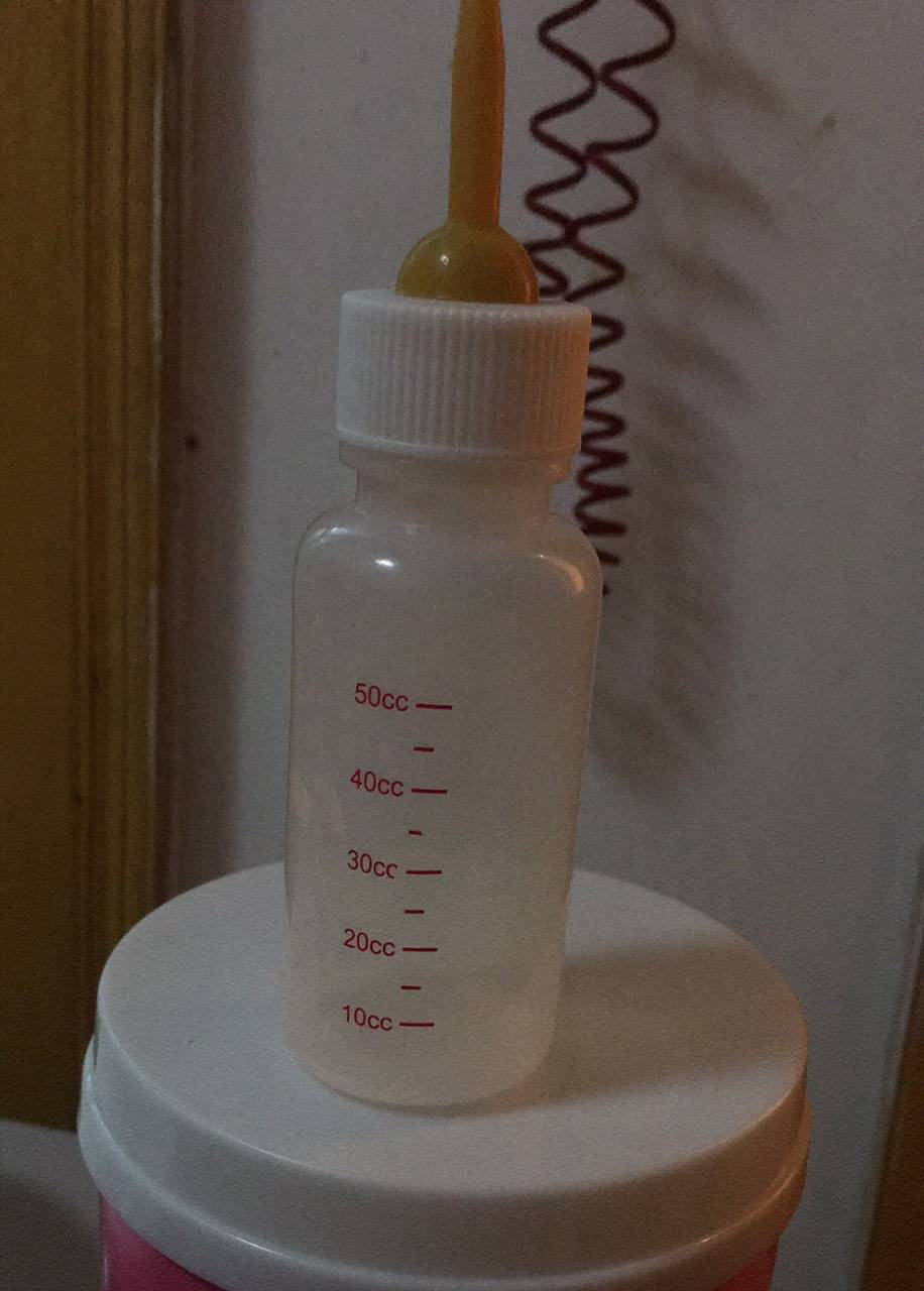 怎么照顾刚生产的母犬 奶水不足时怎么饲养小奶狗 知乎