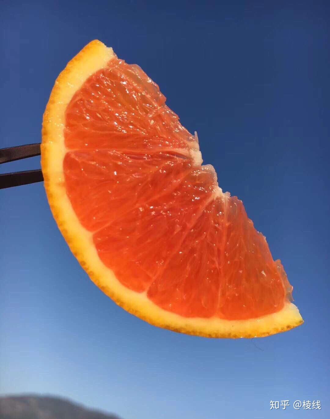 中华红橙 - 知乎