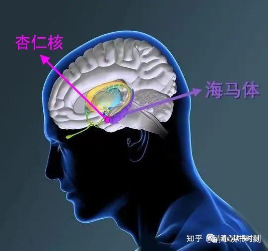 探索脑科学,开启学习的狂飙之旅 - 知乎