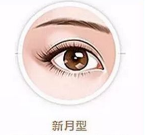 双眼皮不是只有欧美大平行的 知乎