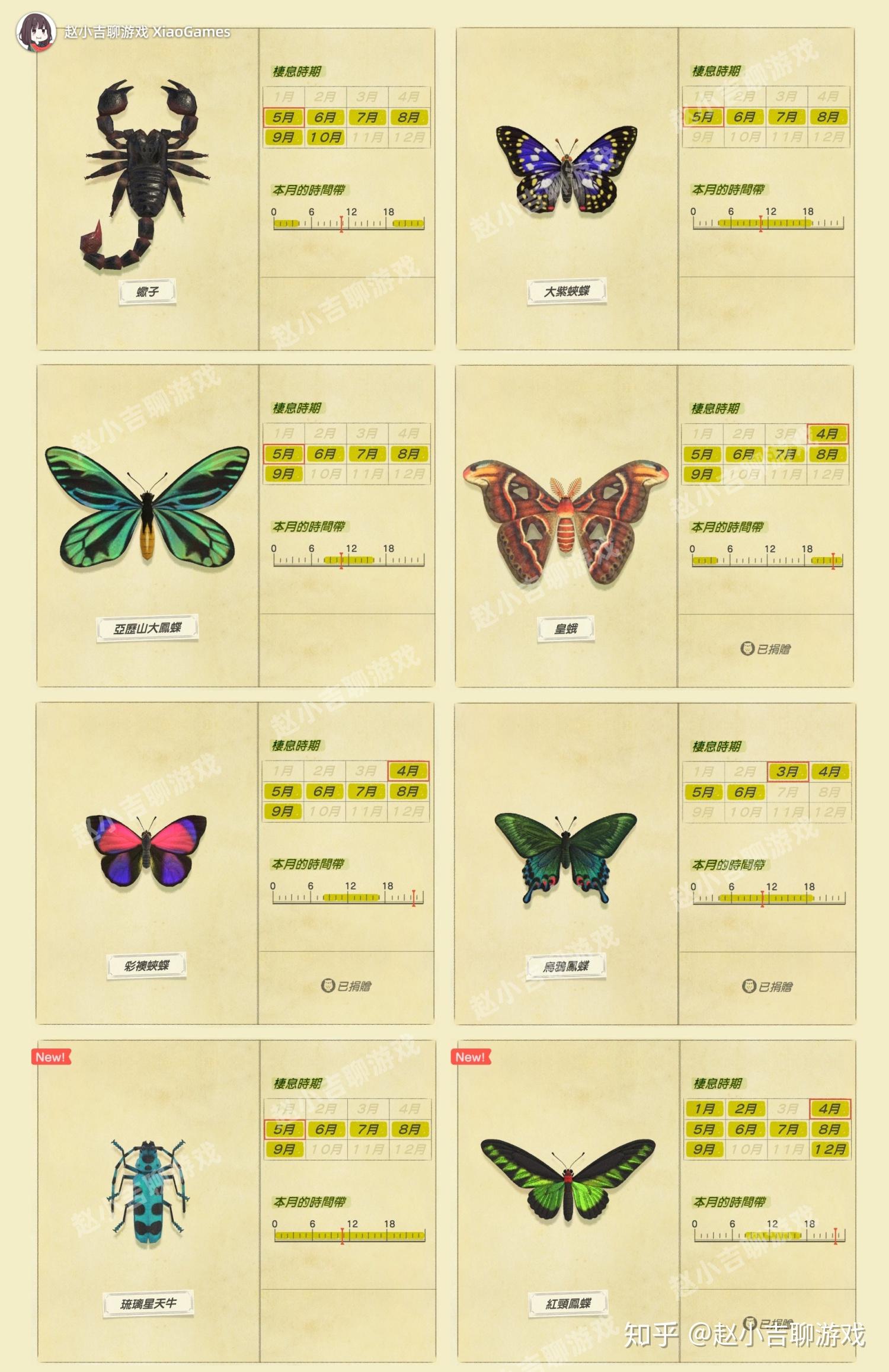 集合啦动物森友会5月昆虫详细图鉴蝎子快到网里来