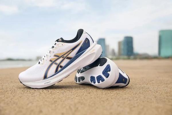 GEL-KAYANO 30 27.5㎝-