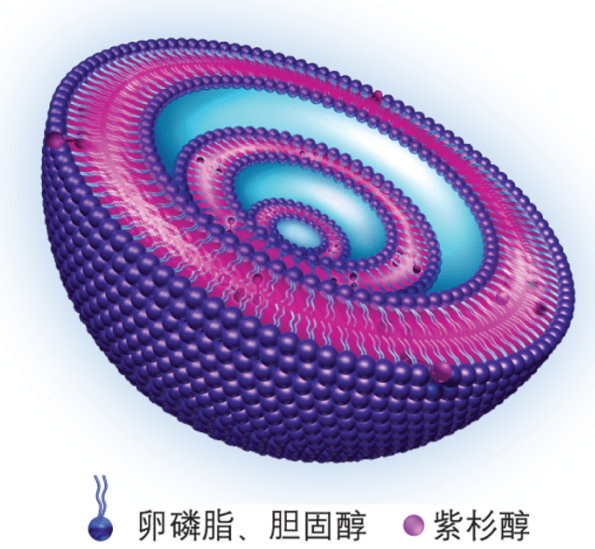 紫杉醇脂质体及传统紫杉醇在卵巢癌化疗中效果的讨论
