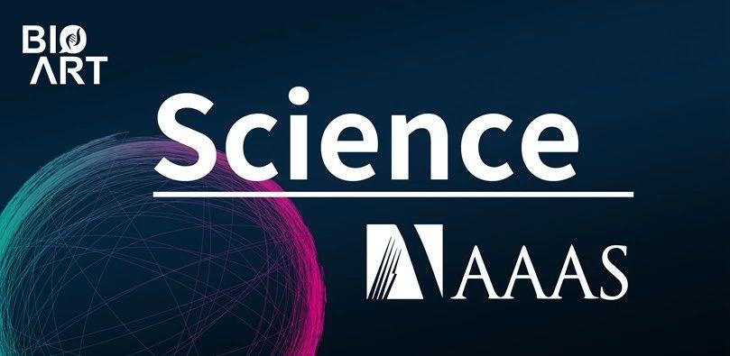 science | 仅旅行限制并不能有效控制covid-19疫情