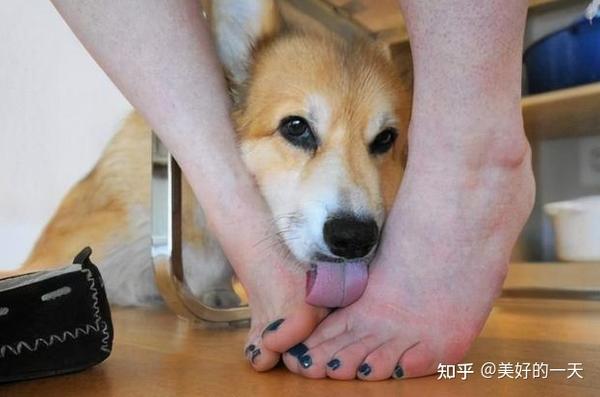 知乎