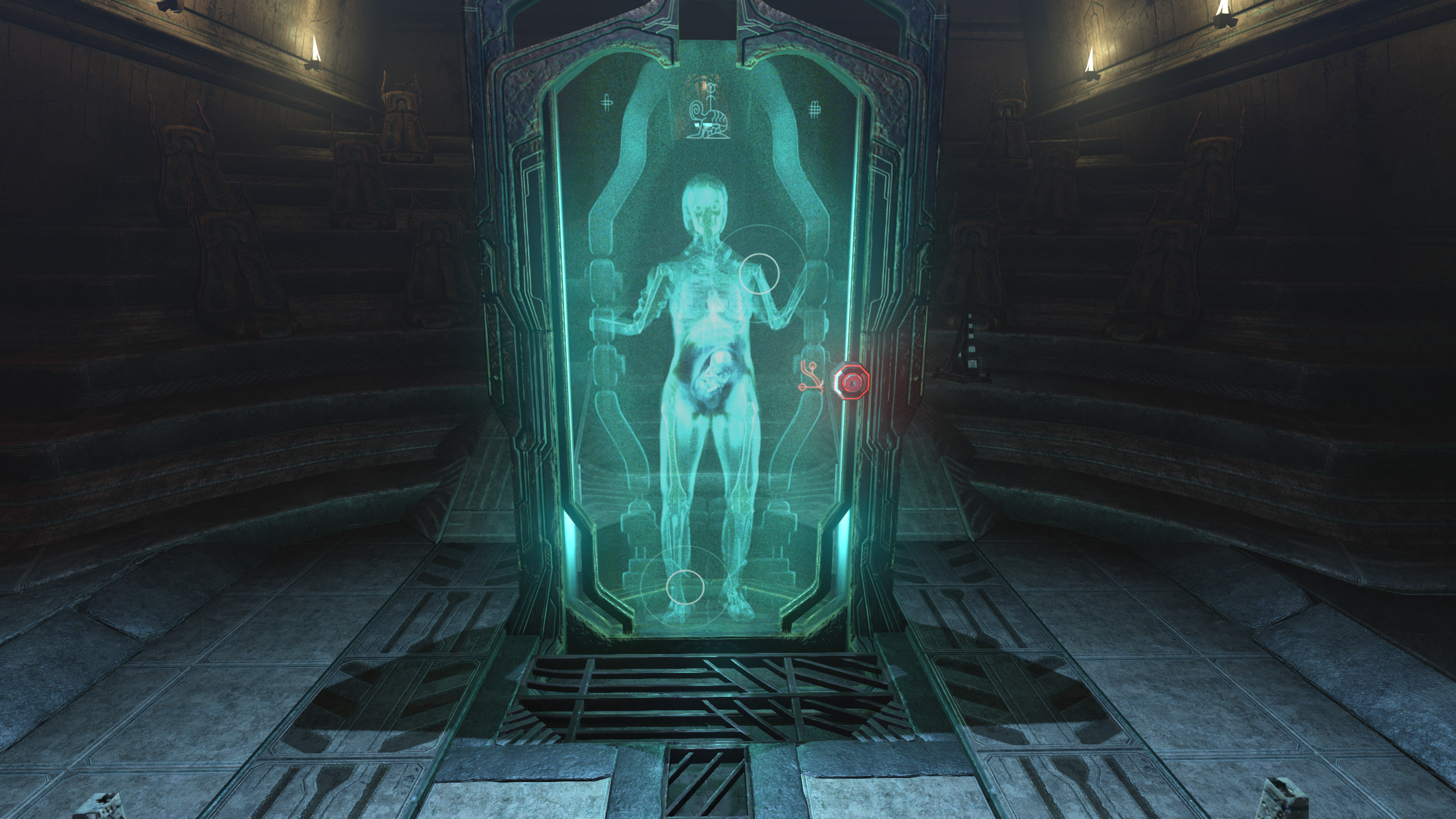 amnesiarebirth失忆症重生