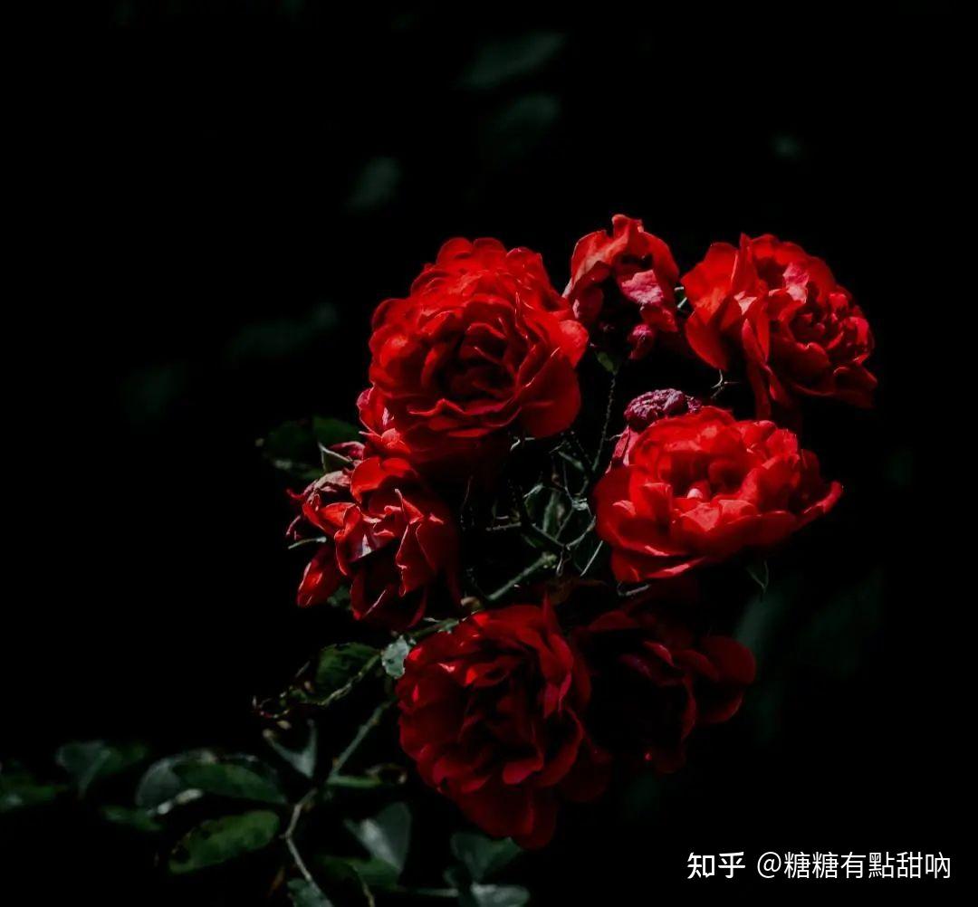 香水文案盘点那些因为一句文案就让人心动的香水