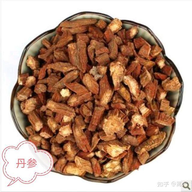 收藏:s中医脉药对应歌