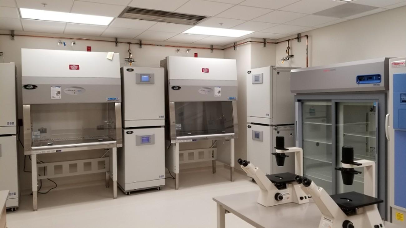 细胞房污染如何解决？支原体污染、噬菌体污染真的这么难去除吗？ 知乎