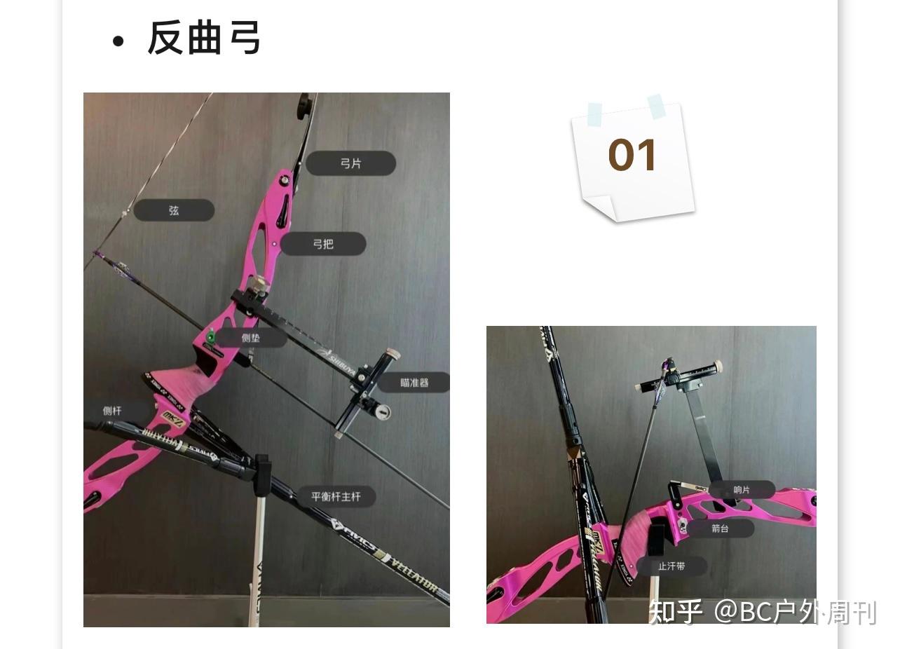 【户外装备】直拉弓、反曲弓、复合弓,哪种弓更适合野外求生? - 知乎