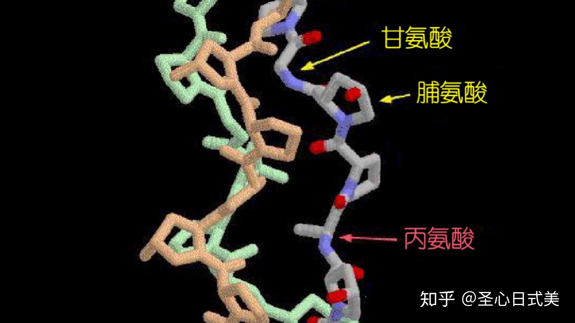 胶原蛋白粉十大排名_胶原蛋白粉排行_胶原蛋白粉前十名