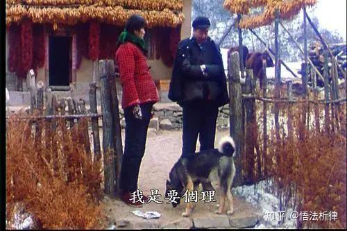 一部反映中国农村法治困境的写实电影