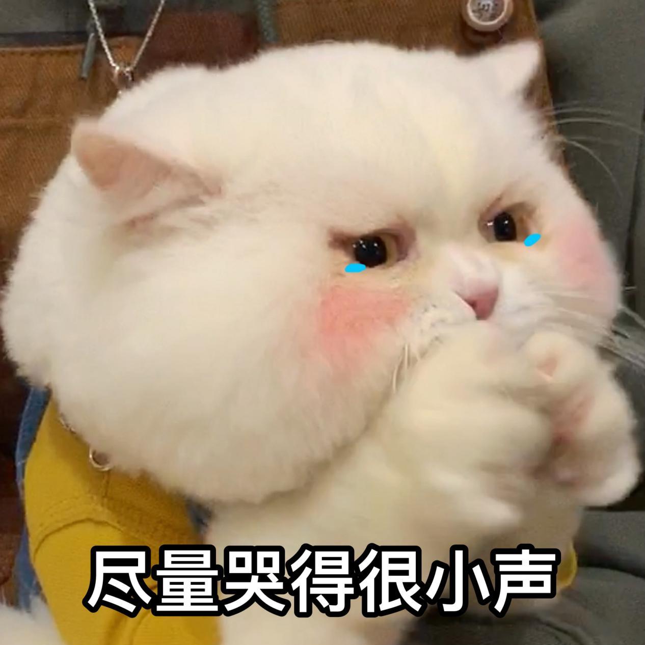 v2-8d38c09c758f3d7606725aead7d7c9db_r.jpg