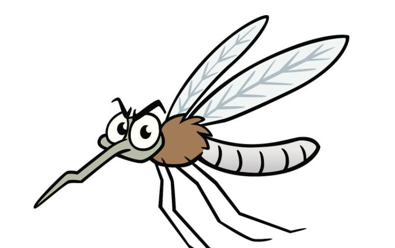 现代诗 | 蚊亲,请原谅我对你施暴了