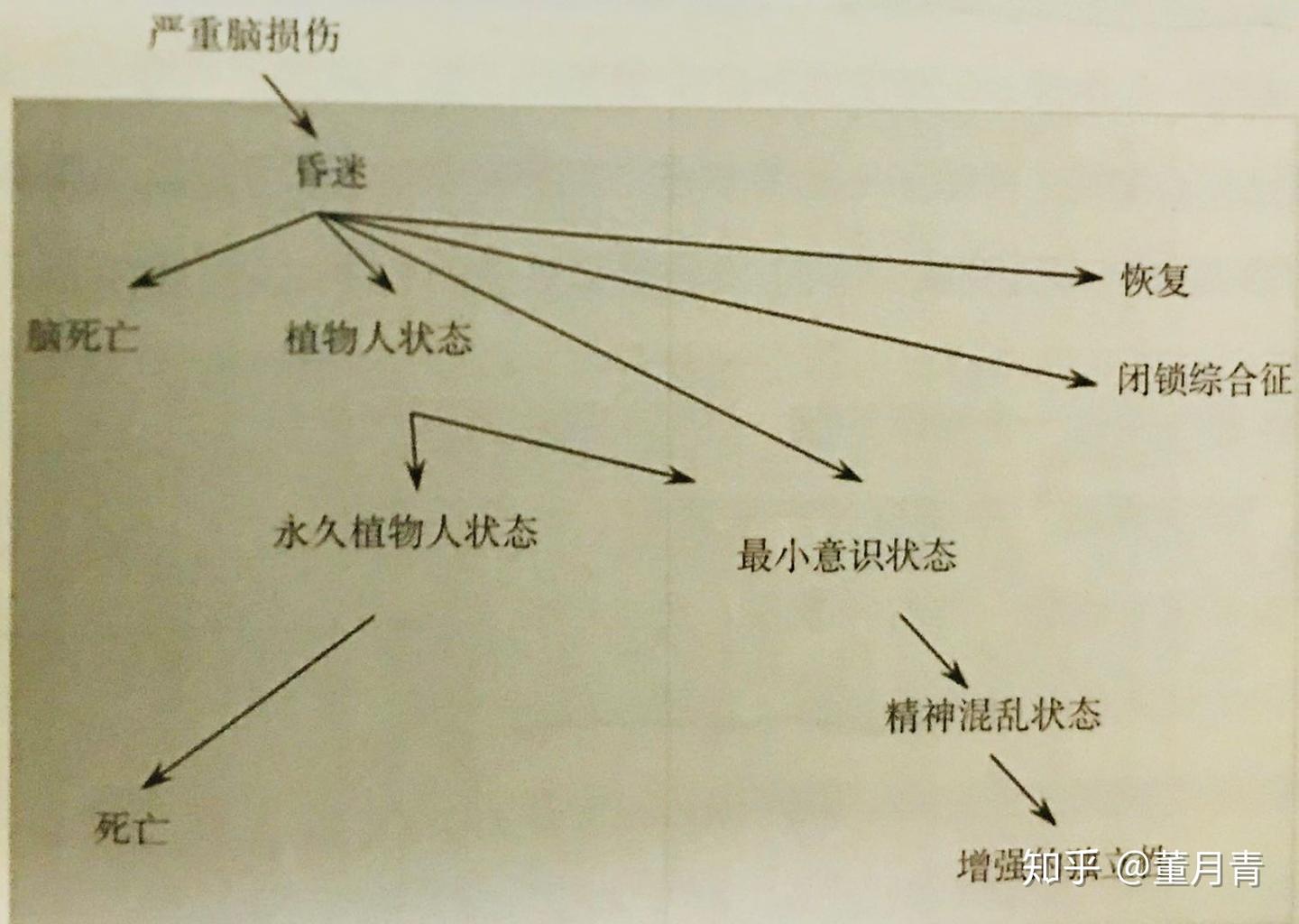 昏迷和脑死亡的区别- 知乎