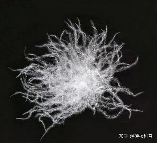 羽绒服应该怎么挑选,鹅绒、鸭绒到底有什么区别? - 知乎