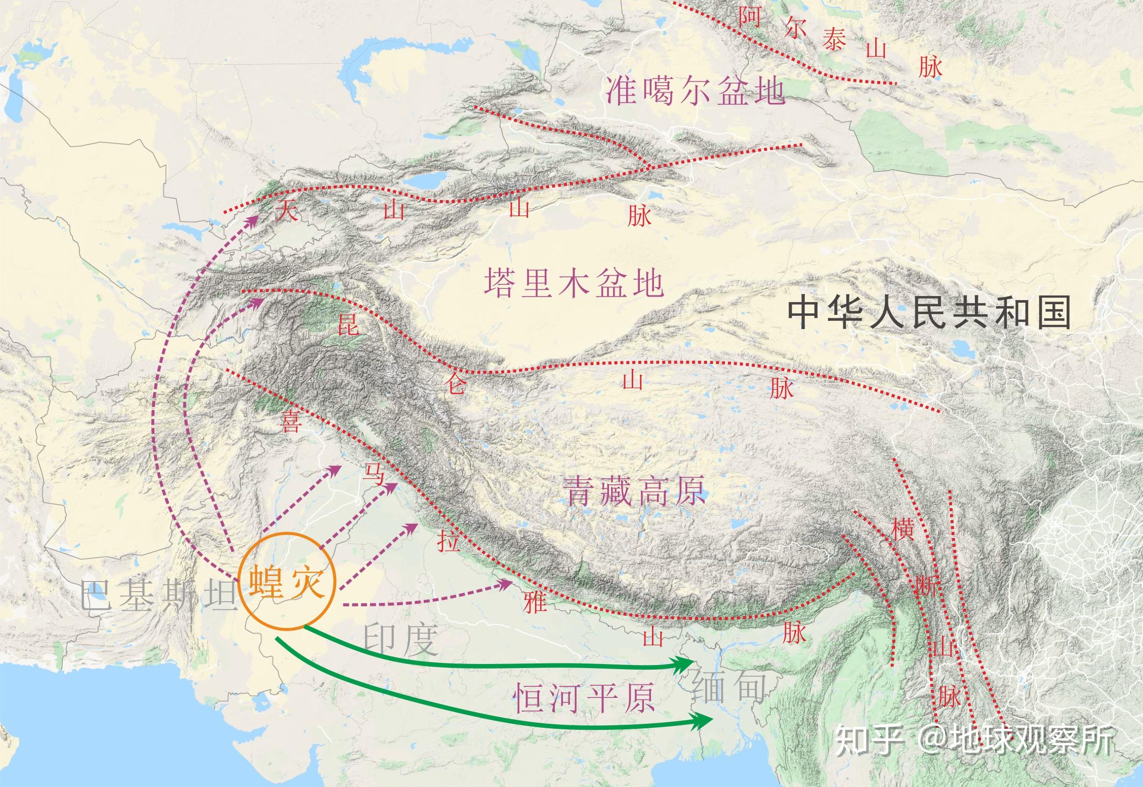 2020非洲蝗灾路线图图片