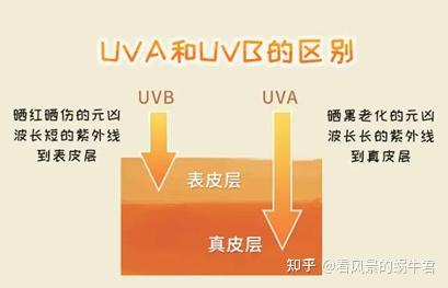 浅谈皮肤“光老化” - 知乎